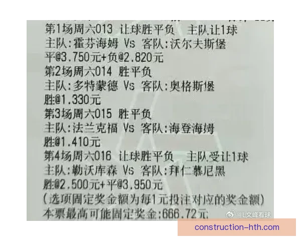 霍芬海姆1899俱乐部最新动态：新赛季目标与阵容调整解析
